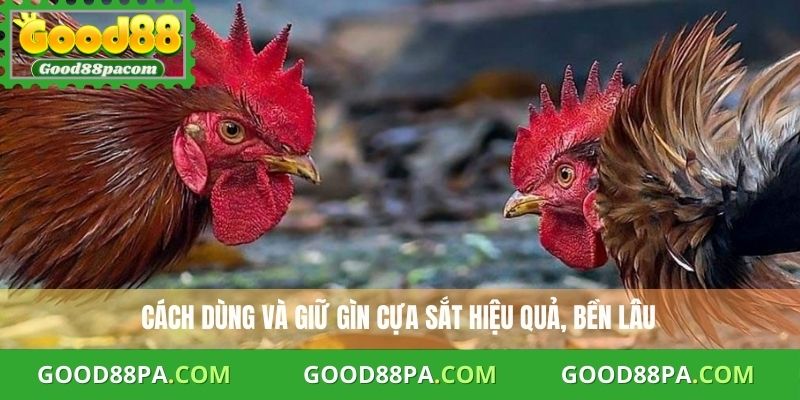 Cách dùng và giữ gìn cựa sắt hiệu quả, bền lâu