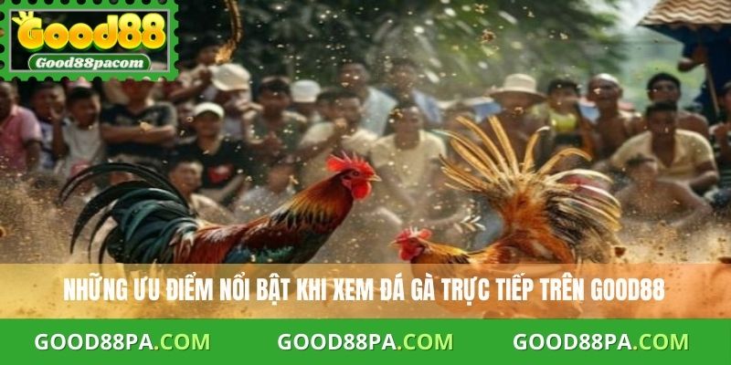 Những ưu điểm nổi bật khi xem đá gà trực tiếp trên Good88